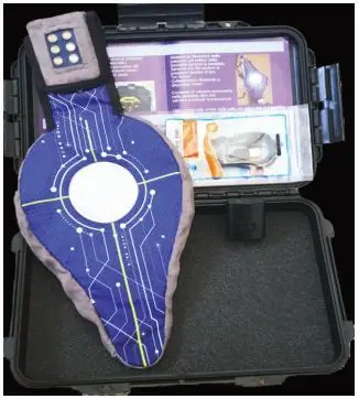 Cushion Foot Pressure Distribution Measurement System Development Kit With Circuitry With Display Heat Map