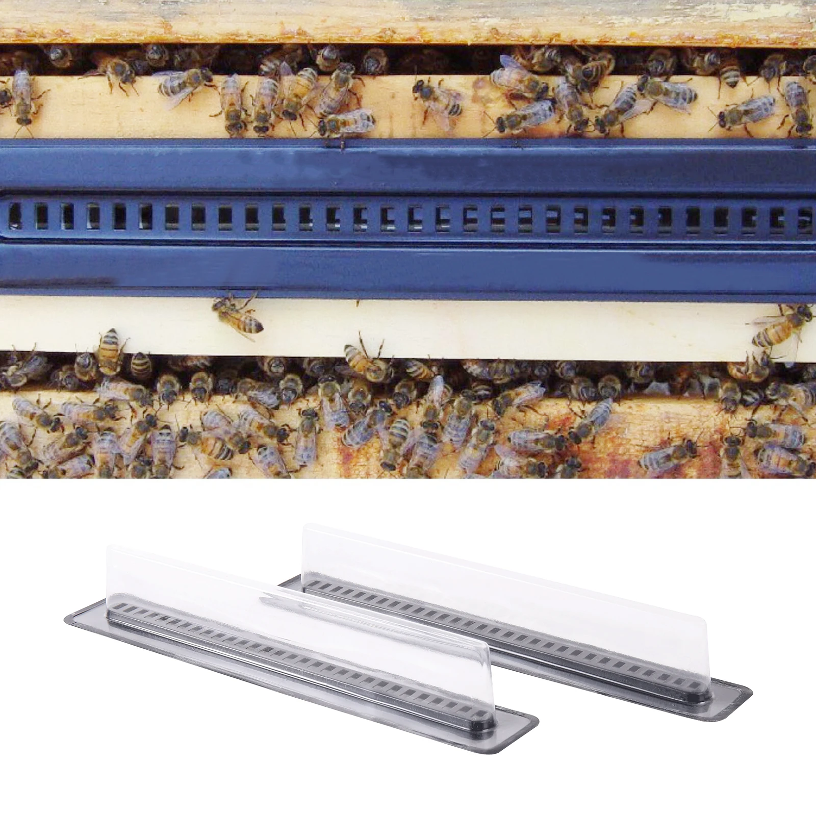 مصيدة خنفساء خلية النحل القابلة لإعادة الاستخدام ، مصيدة النحل للحماية ، معدات احتجاز مستعمرات النحل ، أدوات خلية النحل ، 5 أو 20 أو