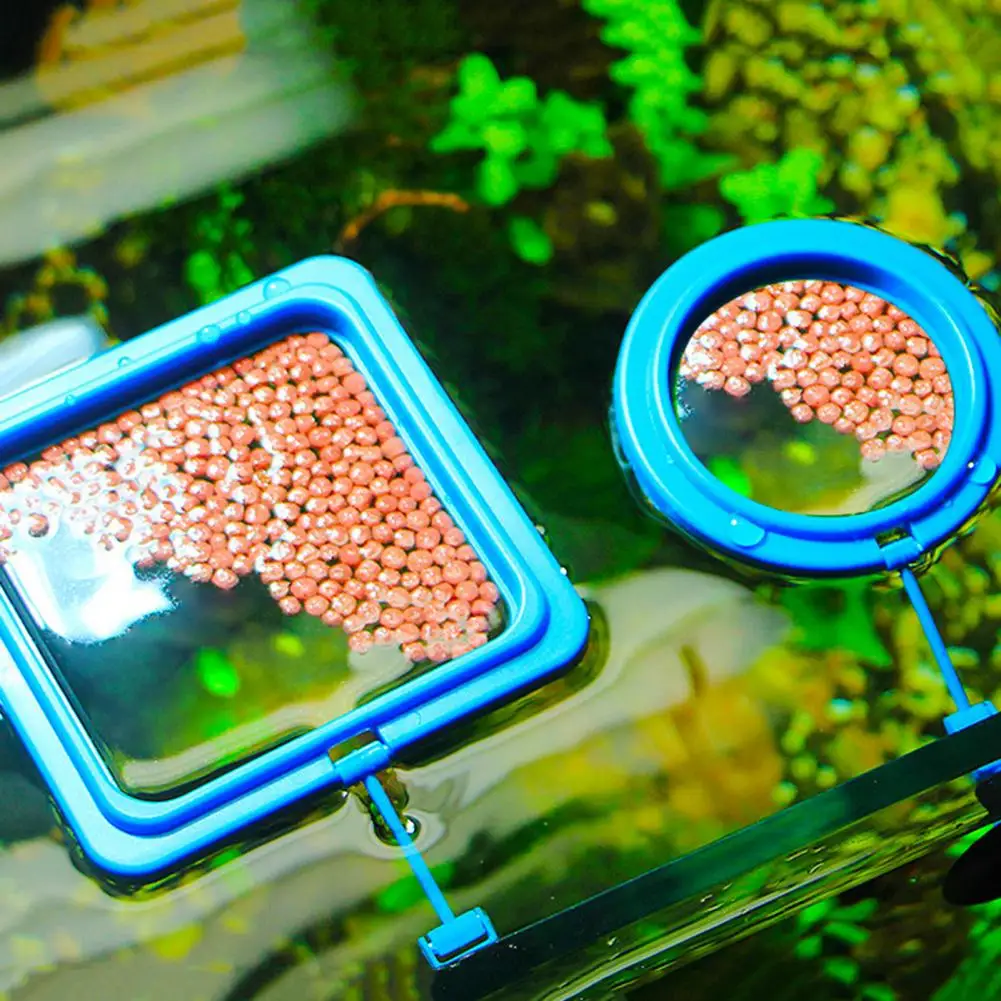 Fish Feeder Ring Fixed Feeding Area Food Tray Suspension Plastic Aquarium Floating Fish Food Ring With Suction Cup For Goldfish