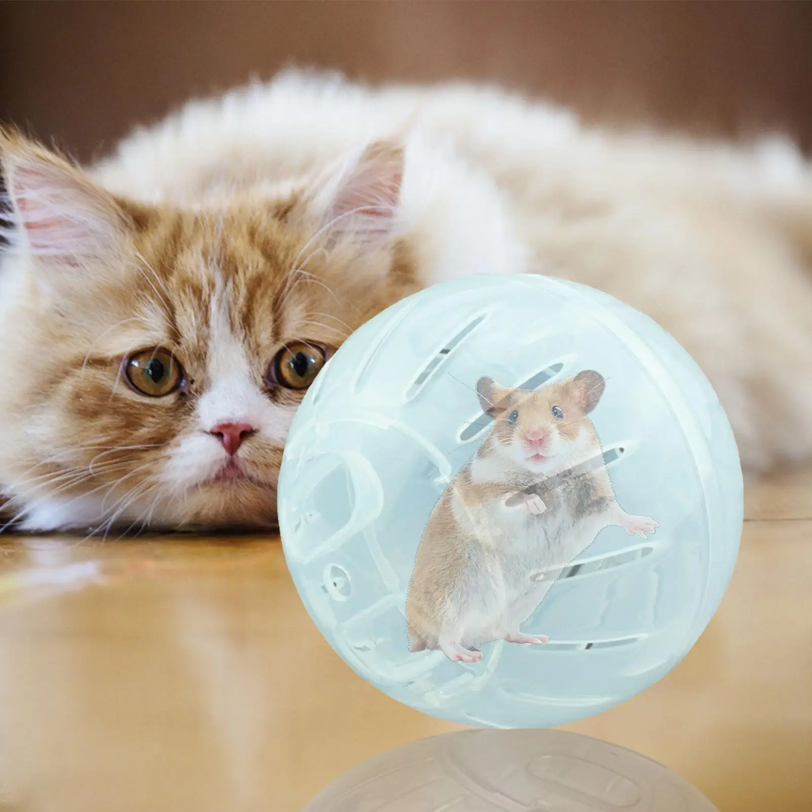 1piece Transparent Acrylic Hamster Running Wheel, Escape-proof, Small,safe,portable,lightweight,multifunctional Pet Cage Design