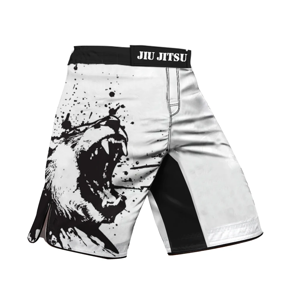 Men's MMA Shorts Roar Printed Muay Thai Martial Arts Combat Sports Underwear Youth Boxing Training Taekwondo Training Pants