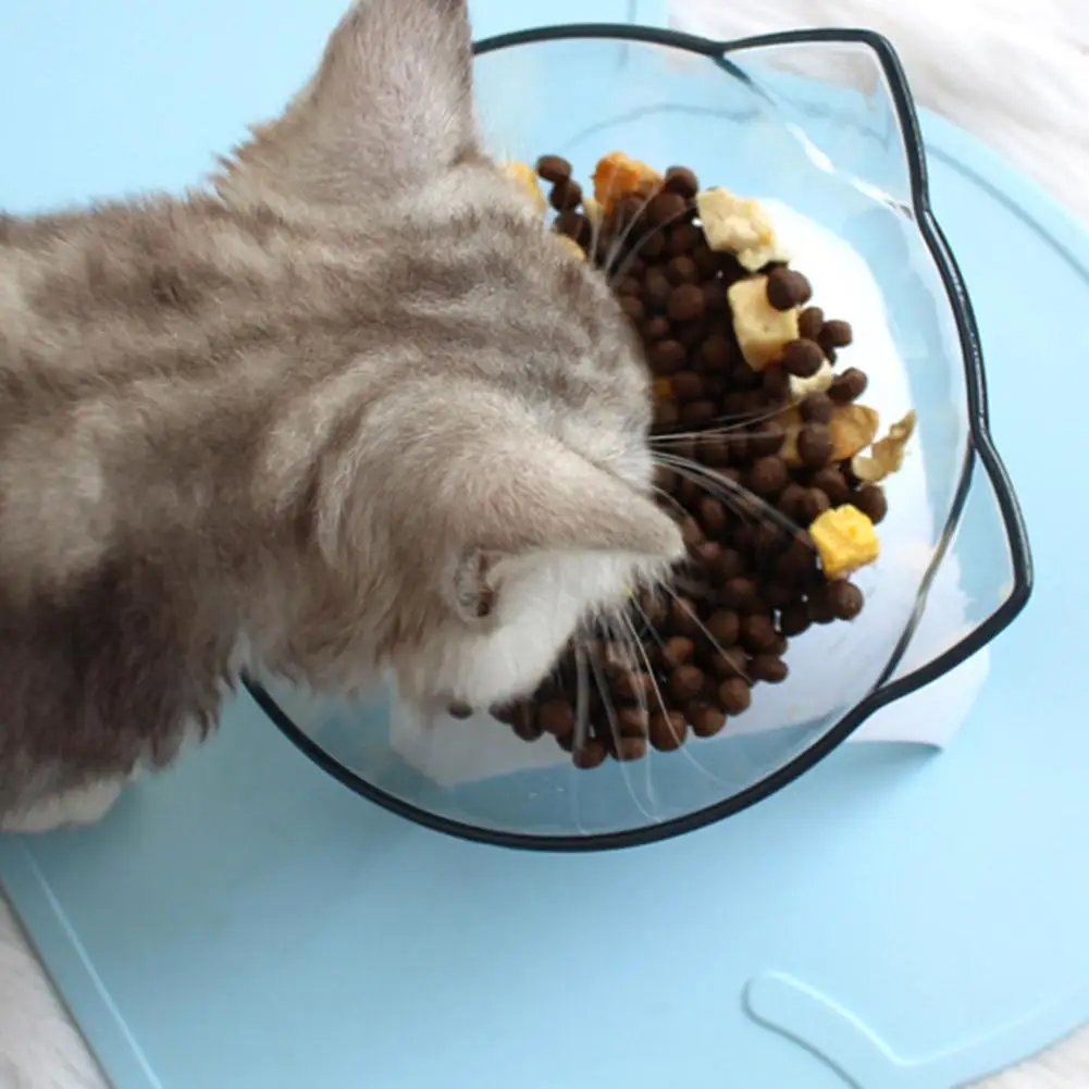 Comedero Elevado para Perros y Gatos, Plato Transparente de Plástico para Mascotas con Protección para el Cuello, Ergonómico, Duradero, el Mejor Accesorio