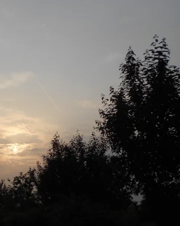 

Комбинированная беспроводная клавиатура и мышь Bluetooth 5.0 и 2,4G, мини-мультимедийная клавиатура и мышь, набор для ноутбуков, ПК, ТВ, iPad, Macbook, Android