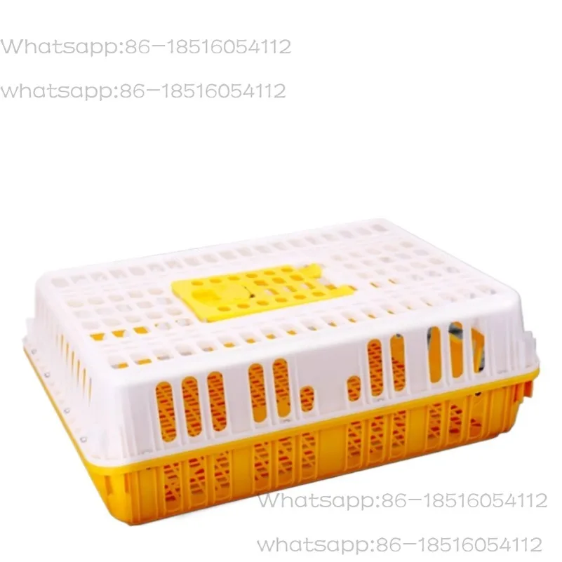 

Chicken Transport Cages, Poultry Consignment Plastic Boxes, Special Cages for Chickens, Ducks and Geese, and Pigeon Cages.