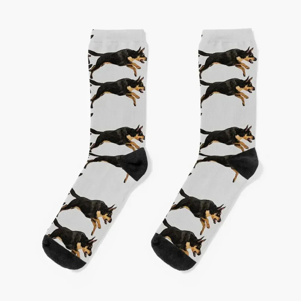 

Pack of Kelpies Socks sport luxe crazy cartoon Socks For Women Men's