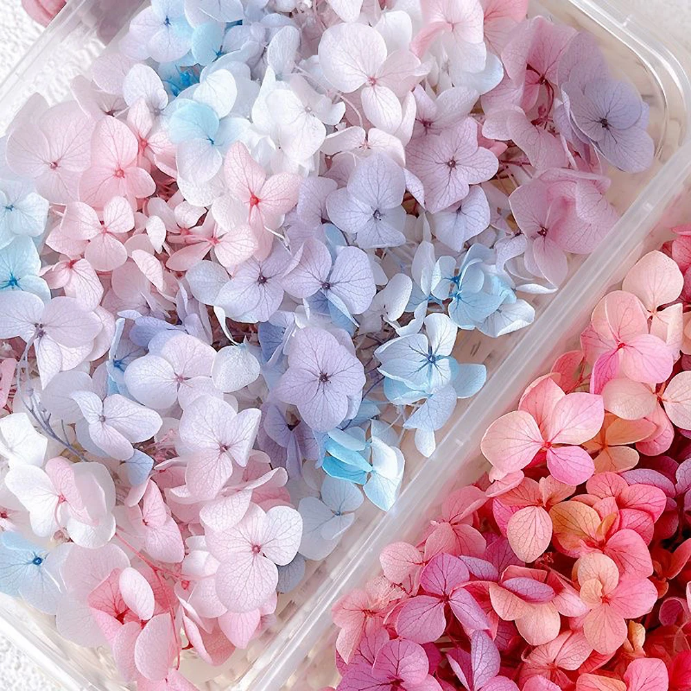 1Box Real Dried Flower Nail Decoration Natural Floral Sticker Mixed Dry Flower DIY Nails Decals Jewelry UV Gel Polish Manicure