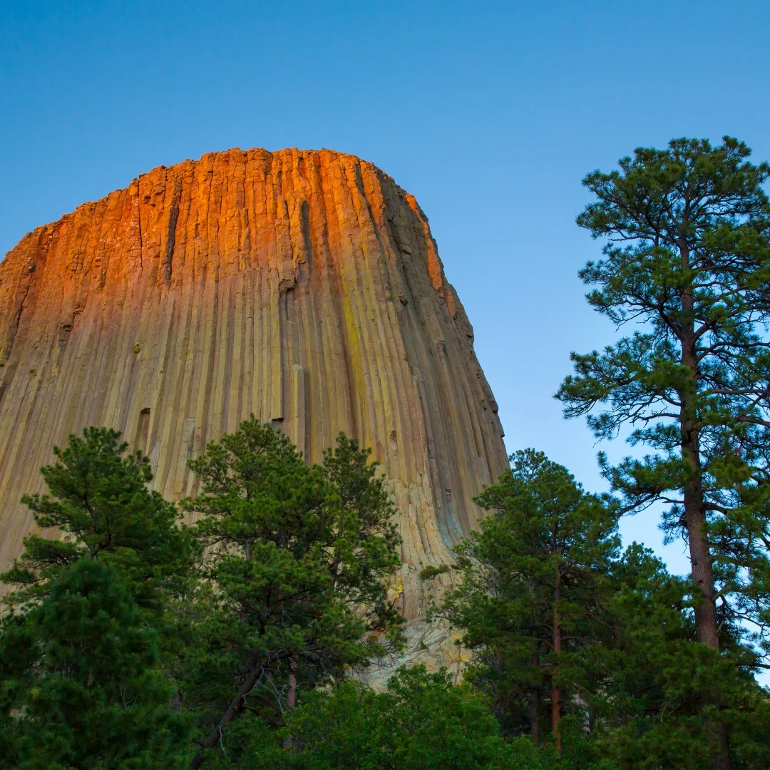 For Dodge Charger 2… - image