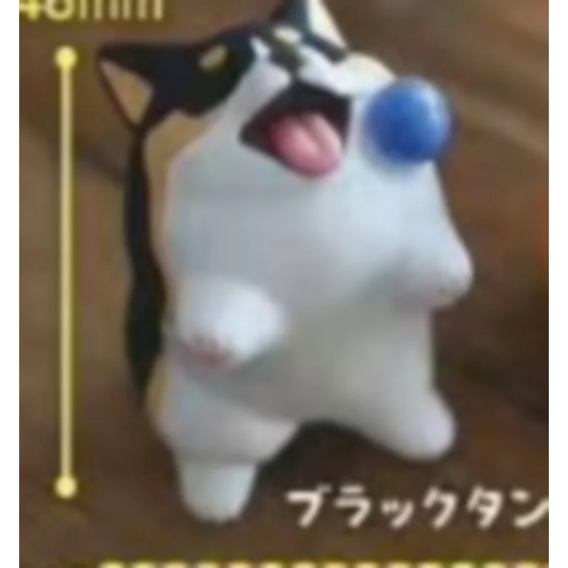 일본 Stasto Gashapon 캡슐 장난감 No Willing Home Short Legs Corgi 강아지 장식 귀여운