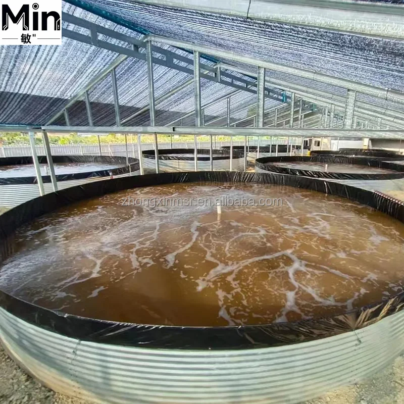 Hot Dip Galvanized Round Aquaculture Tank 50m3 to 1000m3 Capacity for Indoor High Density Fish Shrimp Farming