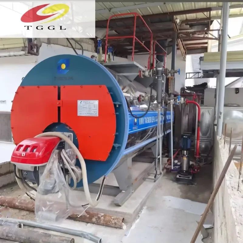 i WNS 1T-10T Natural & Heavy Oil Fired Low-Nitrogen Low Pressure Industrial Fire Tube Boiler Hot Water Output High