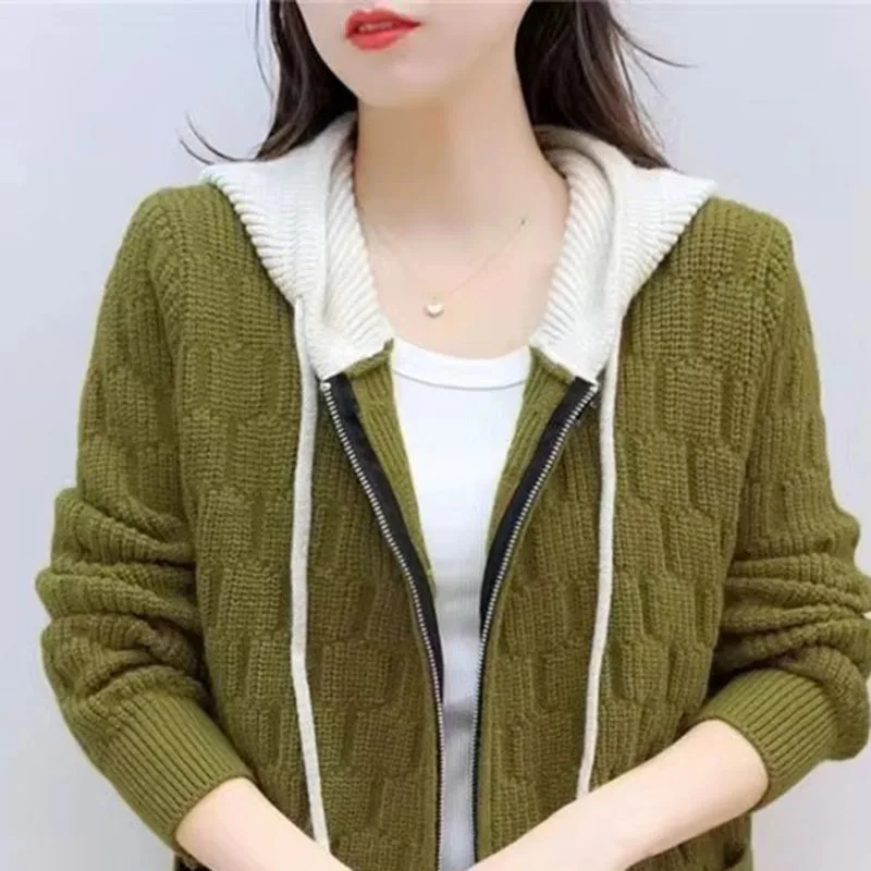 

New 2025 Spring Autumn Winter Knitted Coat Women's Sweater Cardigan Knitwear Fashion Hooded Zipper Hoodie Female Jacket Top