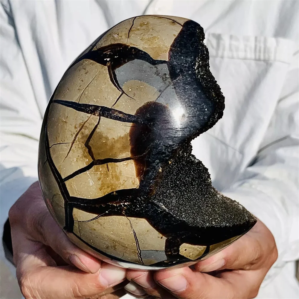 Natural turtle back stone dragon crystal cave crack gemstone restoration, energy gem, spiritual healing, gift, demagnetization,