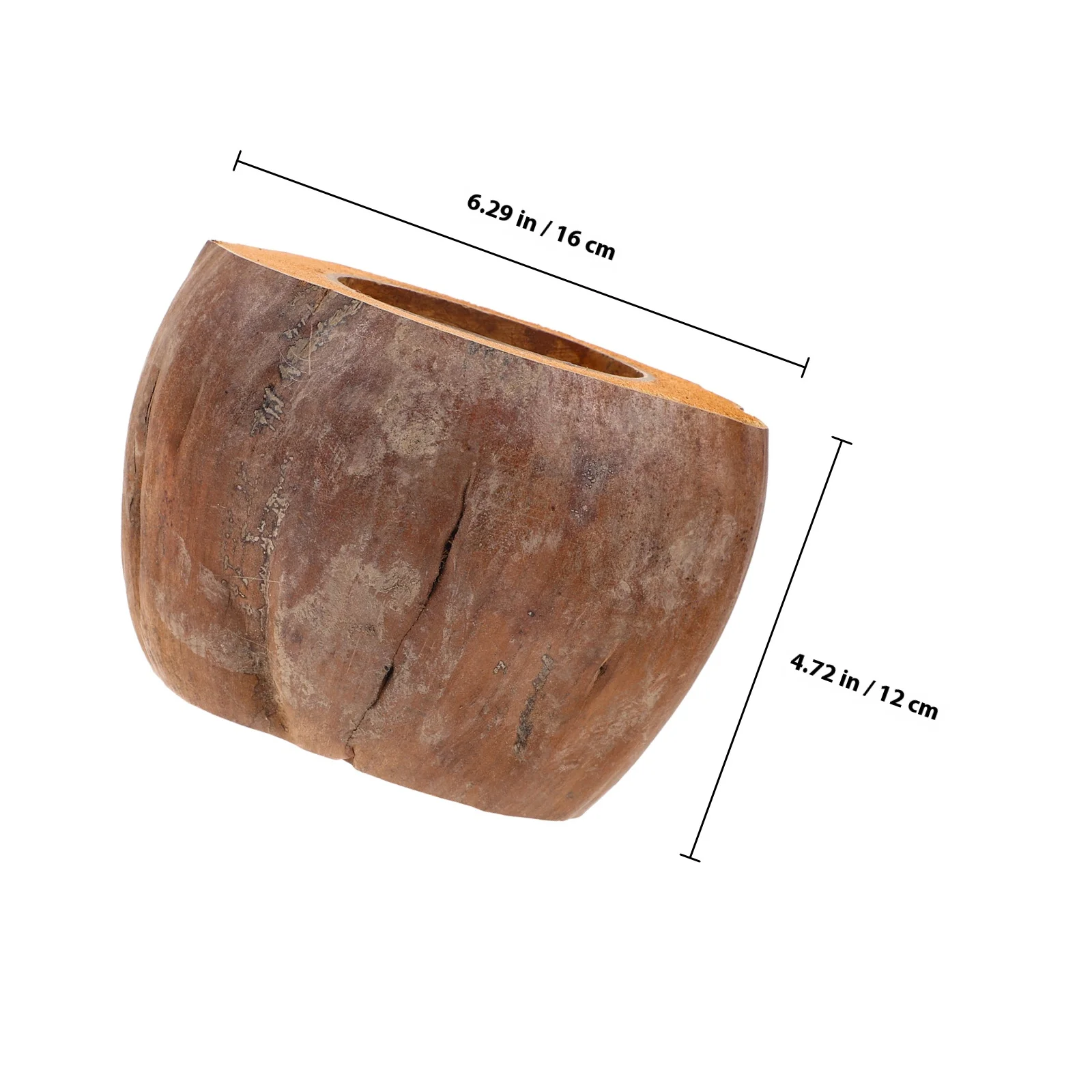 Coconuts Shell Bowl Unique Pattern Natural Style Multi-Purpose Kitchen Storage Serving Dish Hotel Home Decoration