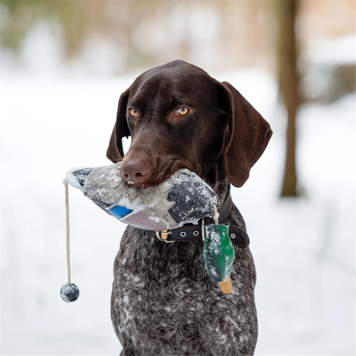 Canard DUNIBumper Mimics Frequency Duck Bumper Toy pour la formation de PupMED ou de chiens de chasse pour adultes