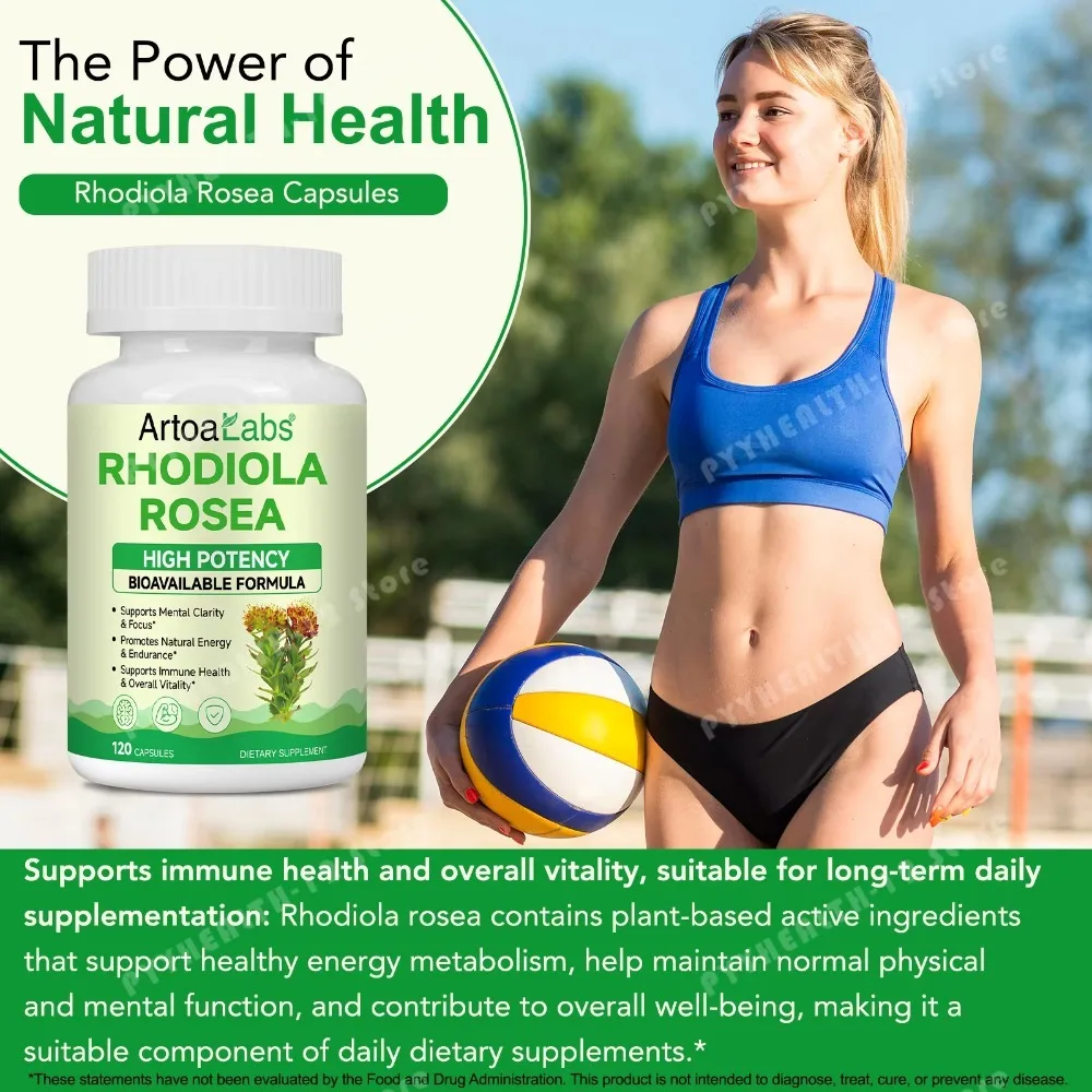 Rhodiola Rosea Capsules Extract with Salidrosides & Rosavins for Stress Management, Mental Focus, Sustained Energy & Stamina
