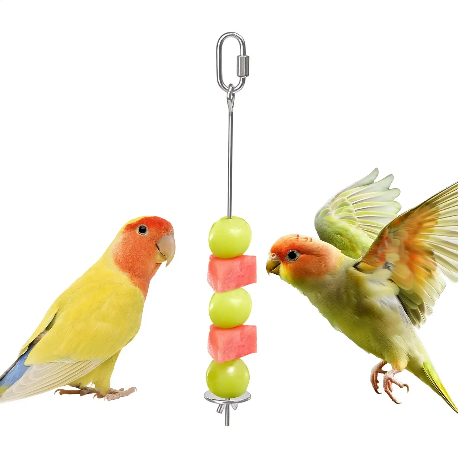 Stainless Steel Parrot Feeder for Hanging Fresh Vegetables and Juicy Fruits Promotes Healthy Eating Habits for Parrot Birds