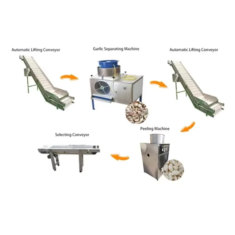 Fully Equipped Garlic Washing Peeling Line Multi Material Adaptable for Onion Ginger Processing Plant Custom