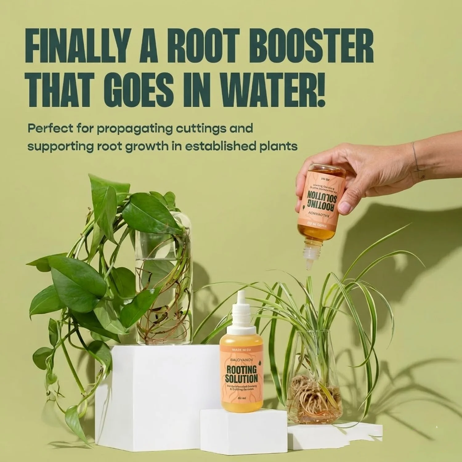 Krople do ukorzeniań - płynny  – Rooting Hormone Powder recenzja i cena