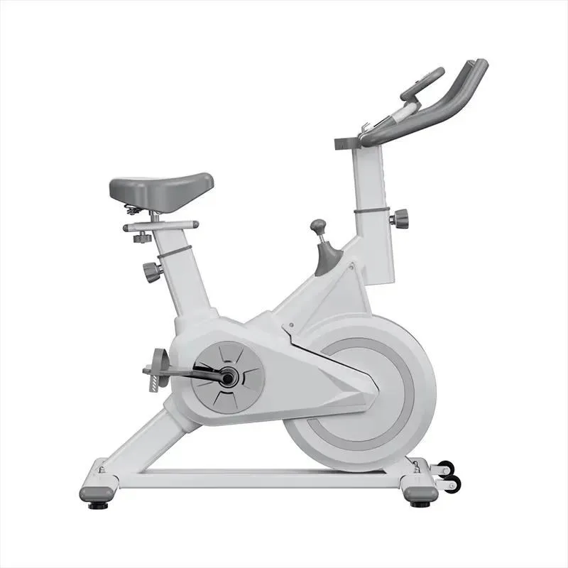 Indoor Silent Steel Unisex Exercise Bike Continuously Variable Speed Belt Resistance Aerobic Training