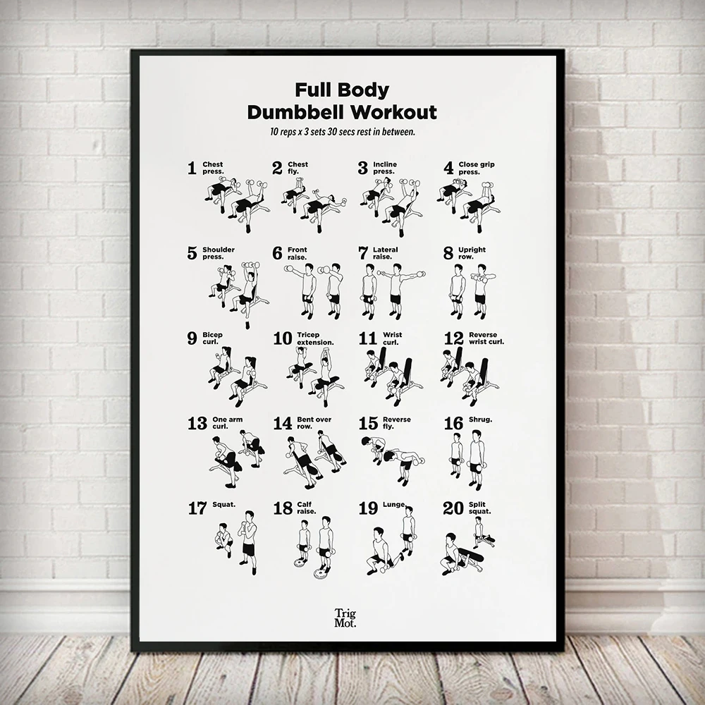 Sports Equipment Poster - Dumbbell Gym Chart Poster Prints Fitness