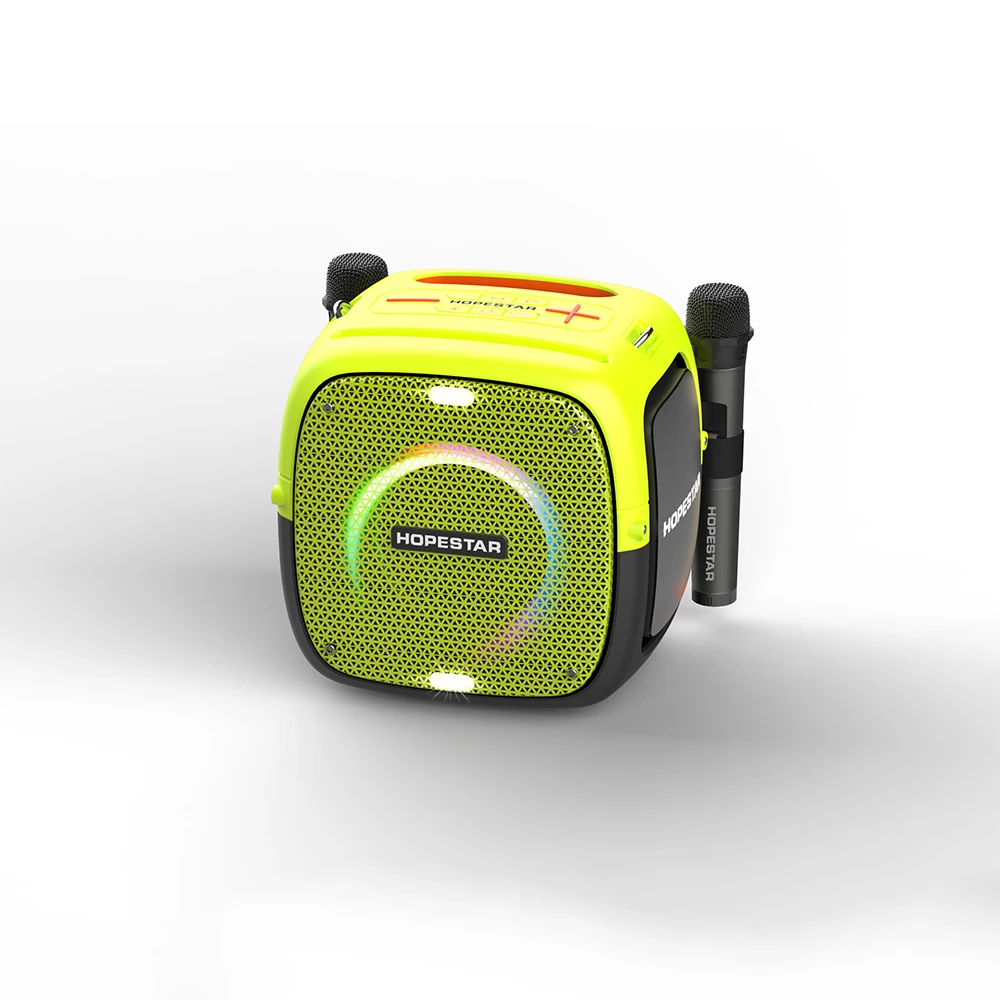 Partyone Party's Portable Wireless Speaker Waterproof Handheld with 2pcs Microphone for Outdoor Computer Mobile Phone Use
