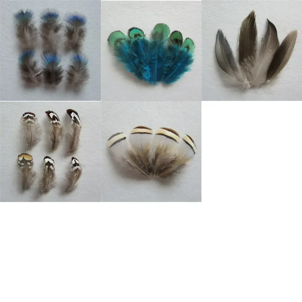 14 kind style select pure natural colour and lustre  pheasant feather DIY feather  earrings jewelry 50 pcs or 20pcs