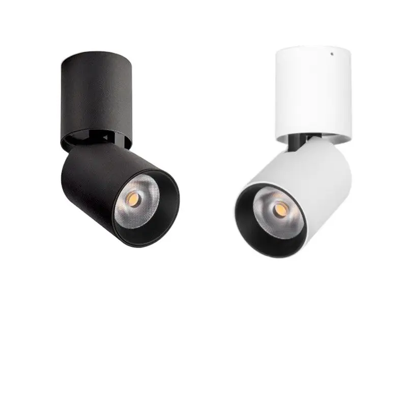 Imagem -03 - Lâmpadas de Teto Led Reguláveis Montadas em Superfície Ajustável Downlight para Sala de Estar Luzes Internas para Cozinha Luzes para Foyer 20w 15w 12w