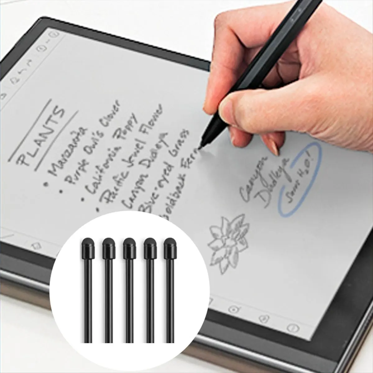 10Pcs Soft Pen Tips Pen Nibs for 2 for Note for Max Lumi2 with Nib Removal Tool, Wear- Pen Tip