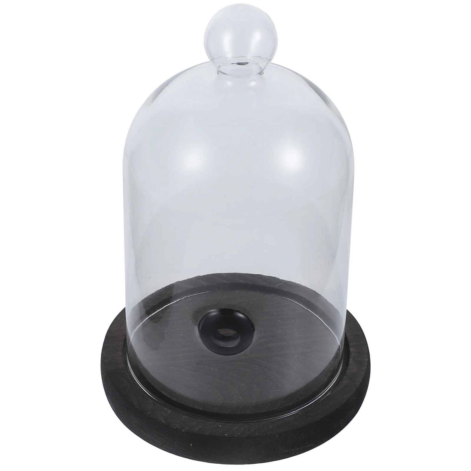 

1Set Western Cuisine Cover Chic Cakes Dessert Bread Protective Base High-Quality Easy-Store Heat-Resistant