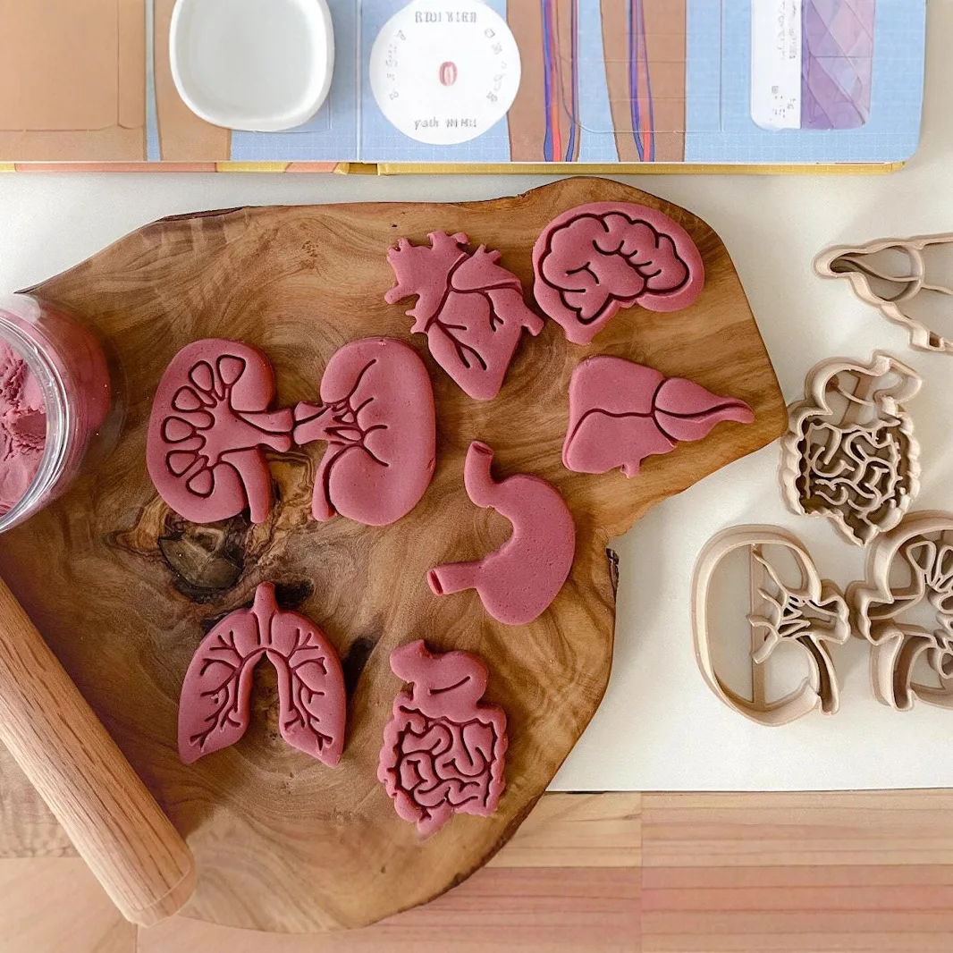 Organi realistici del corpo umano Stampi per biscotti Stampi per argilla colorata per bambini Giocattoli multiuso per organi del corpo umano di Halloween