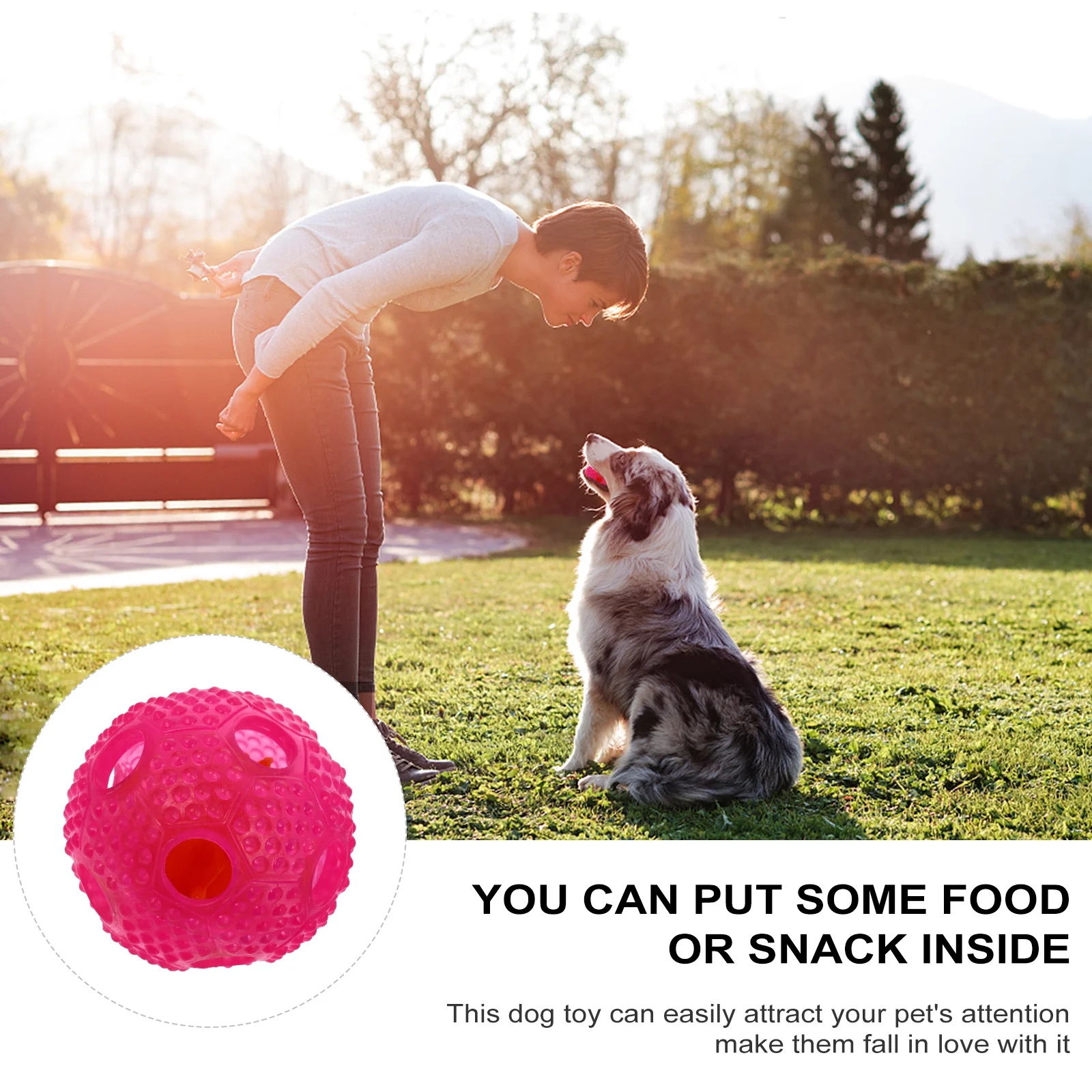 

Grind Teeth and Gum Snacks Small Dog Chew Puppy Treat Slow Feed Bite Resistant