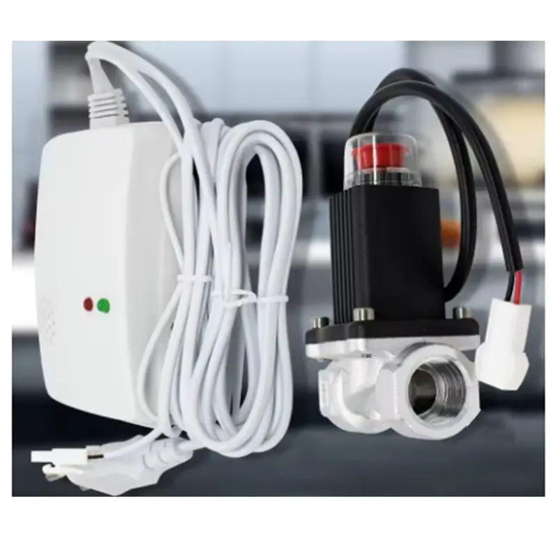 ABHU Natural/Liquefied Gas Leakage Detector With Emergency Shut Off Solenoid Valves Alarm Sensor Standalone Auto Monitor EU Plug