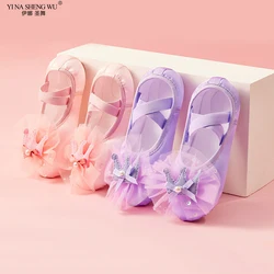 Crown Dance Shoes for Children's Ballet Latin Dance Soft Sole Dance Slippers Children Practise Ballerina Dance Training Shoes