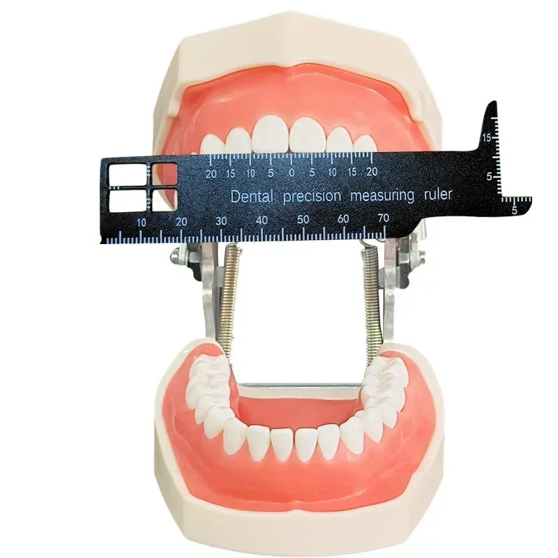 1Pcs Dental Precision Measuring Ruler Medical Tool for Photography Dentistry Material Tool