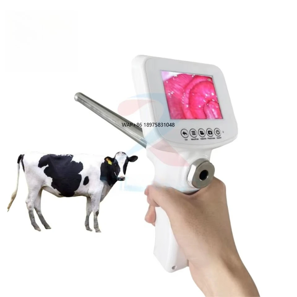 

Cattle Veterinary Instrument Artificial Insemination Cattle Insemination Device Digital AI