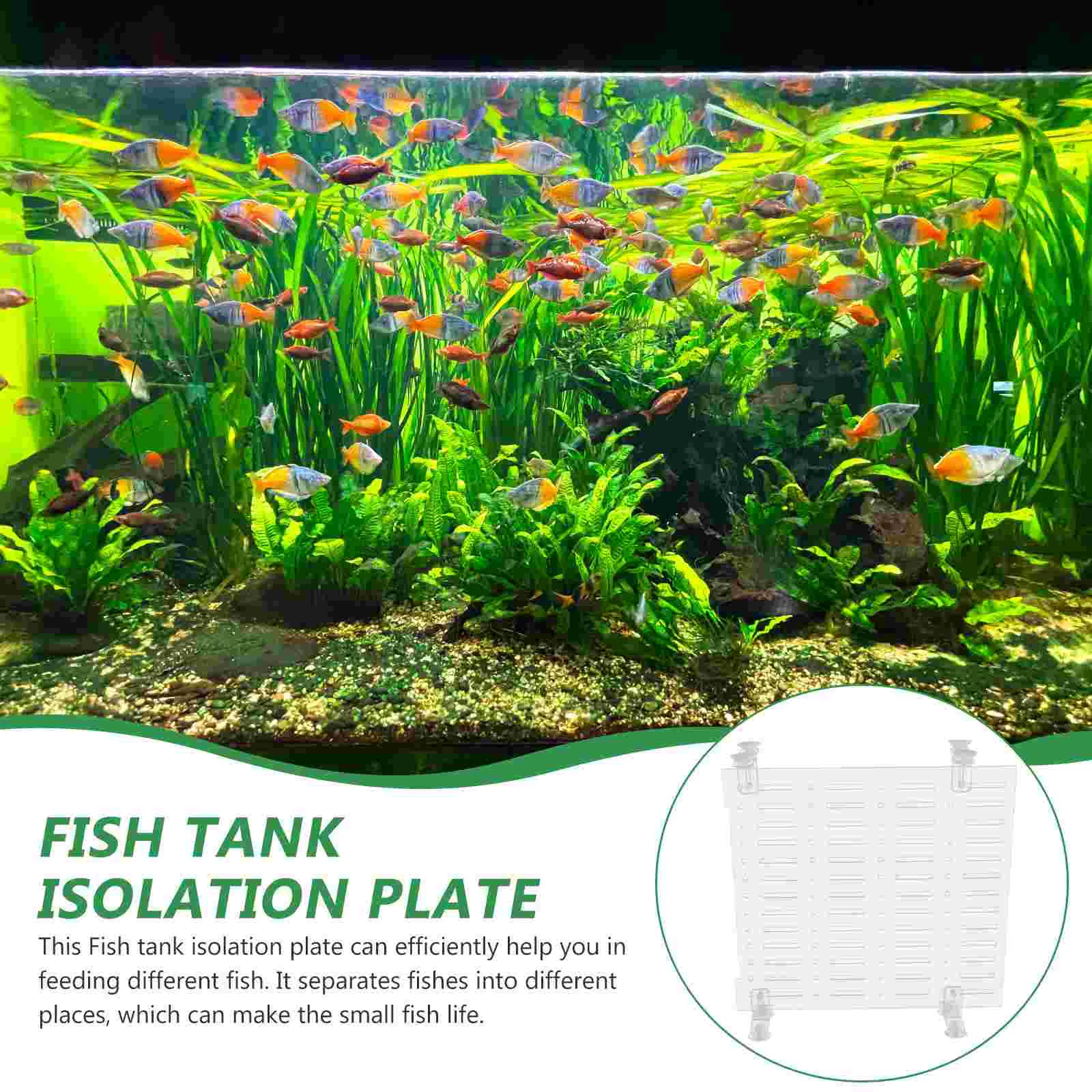 Fish Tank Isolation Board Clear Dividers Acrylic Plate Aquarium Separation Tool