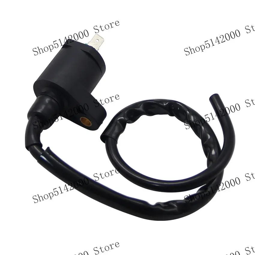 Motorcycle Parts Start Engine Ignition Coil For Honda TRX250 Recon 250 2x4 TRX250EX TRX250TM TRX250TE Sportrax OEM:30510-GN3-670