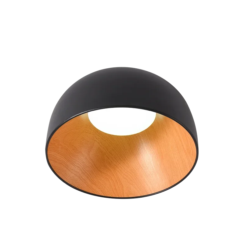 

Nordic Simplicity Ceiling Lights Dimmable Dining Room Balcony Corridor Cabinets Bedroom Minimalist Decor Indoor Lighting Fixture