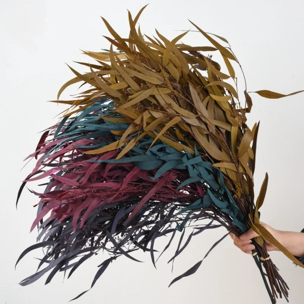 100 г натуральные консервированные листья эвкалипта, лист пса, сушеные цветы, букет вечных растений, гирлянда, украшение для дома, свадьбы, вечеринки