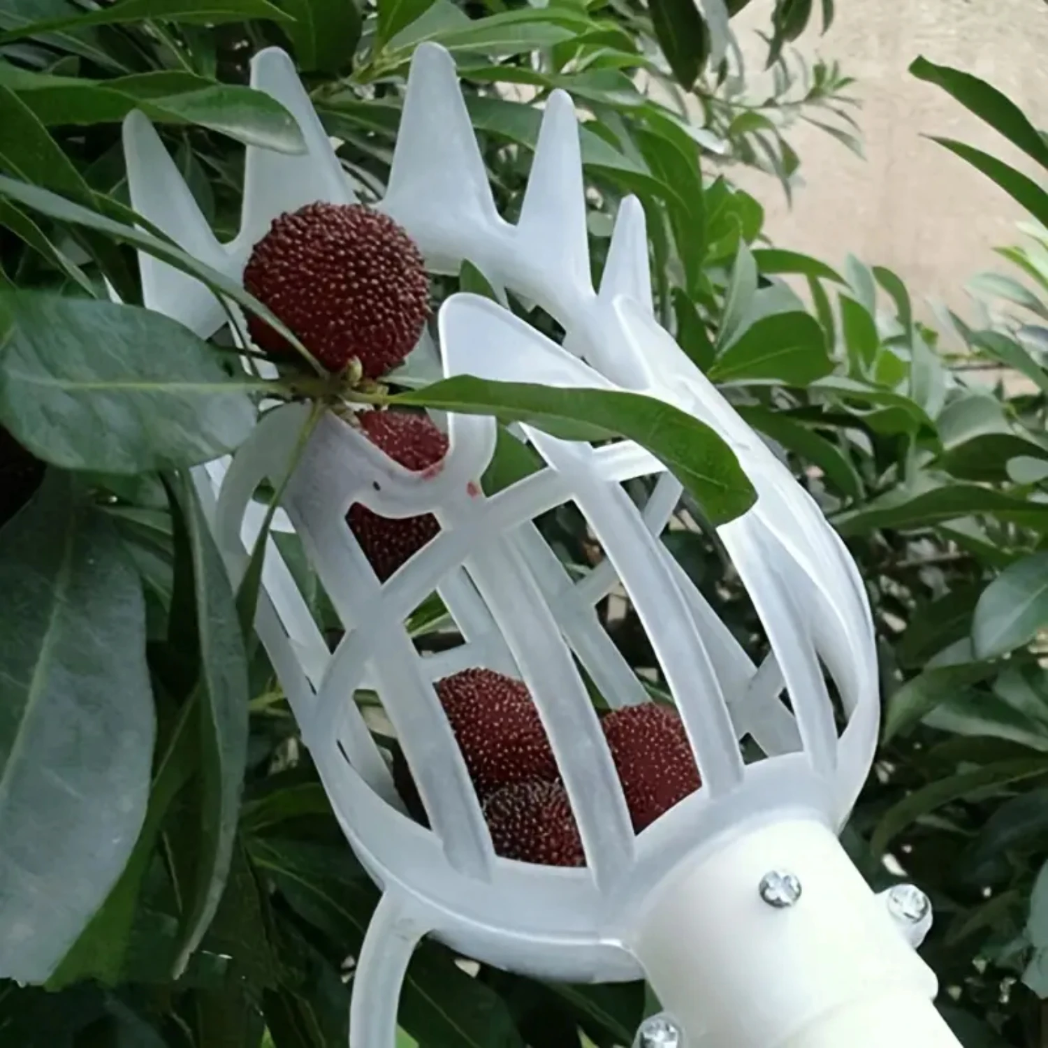 1pc Garden Fruit Basket Picker Head, Farm Gardening Picking Equipment, Picking Tool, Fruit Catcher, Garden Tools