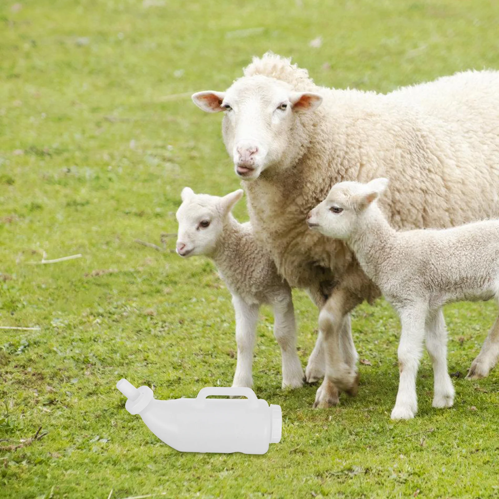 

Lamb Nursing Bottle For Newborn Pets Small Calf Kitten Puppy Feeding Animal Milk Feeder Detachable Clean Easy Use