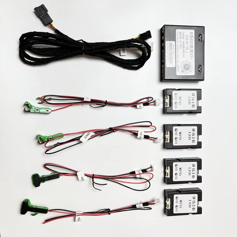 Automotive LED Ambient light suitable for BMW G30 G31 11 color Interior atmosphere Door mold light strip Interior trim strips