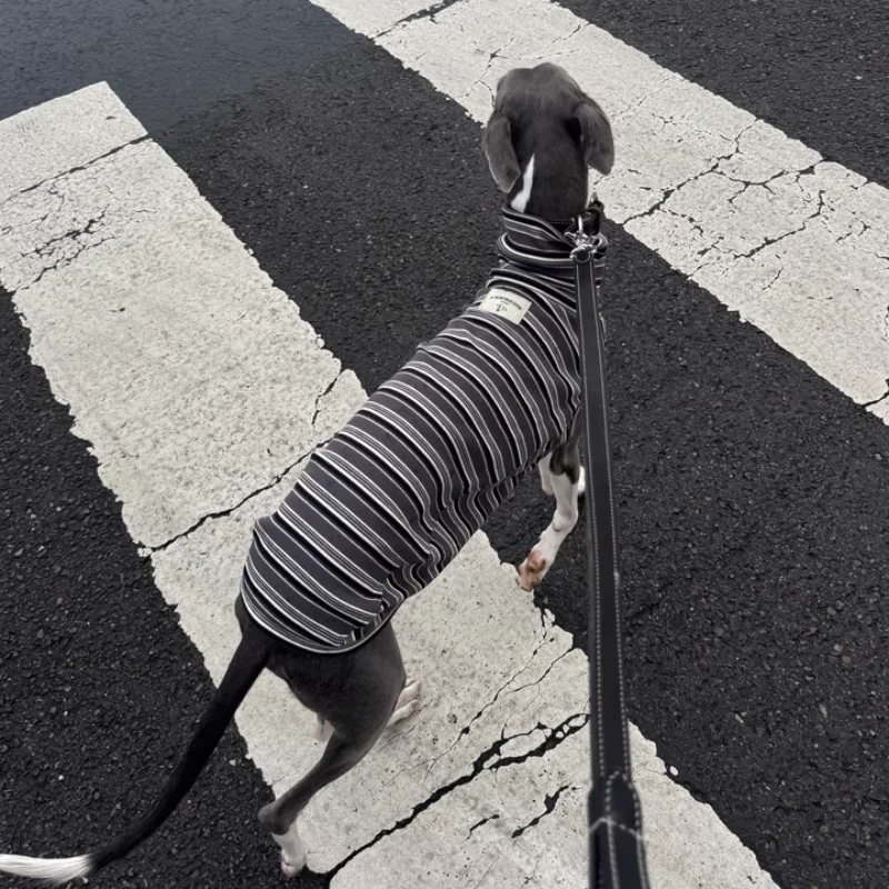 Grey Striped High-Neck Spring T-Shirt for Mid Dogs Cotton Sleeveless Spring Coat for Greyhound Wellington Summer Blue Pajamas
