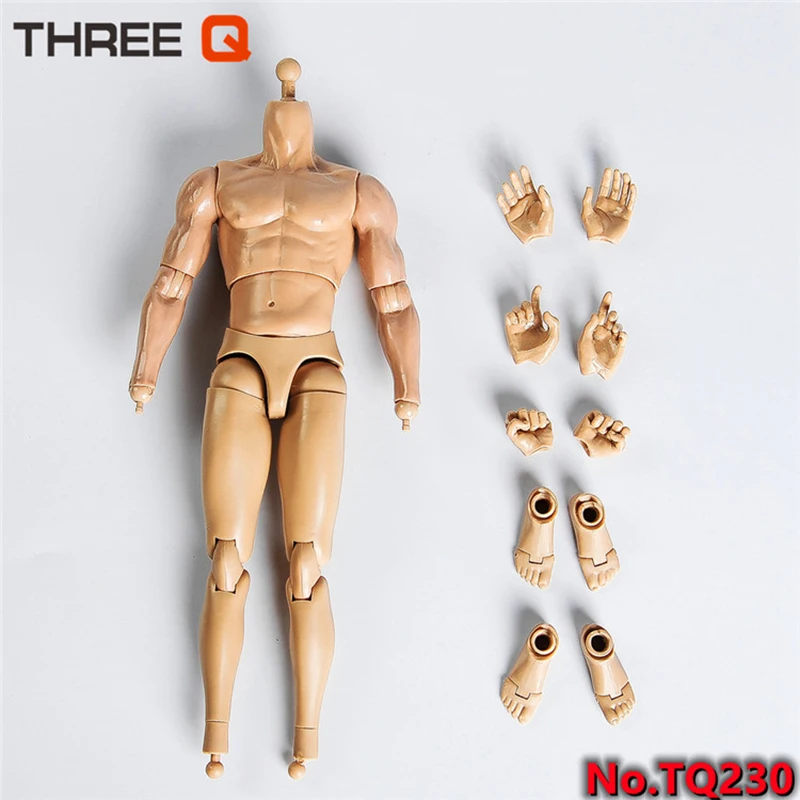 

THREEQ TQ210 TQ220 TQ230 1/6 Male Normal Muscle Joint Body 12'' Soldier Flexible Action Figure Body Dolls for 1:6 Head Sculpts