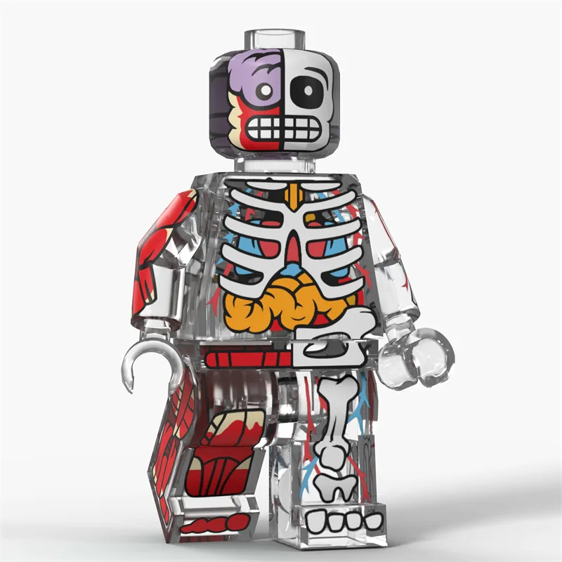 Cartoon Transparent Human Anime Muscle Anatomy Skeletal Bodys Action Figures Building Blocks Toys for Children Gifts - view 3