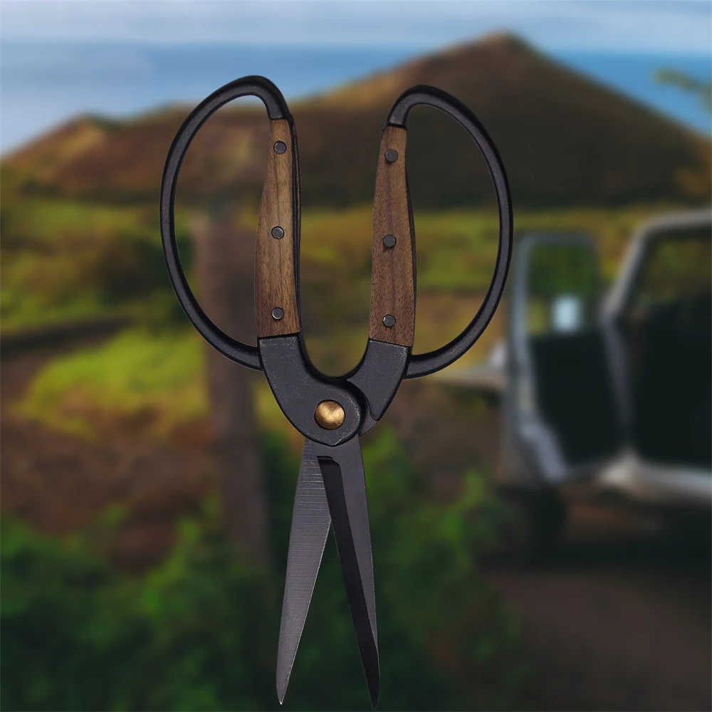 

Ножницы из нержавеющей стали, садовые ножницы для ветвей растений, цветочная композиция, обрезка фруктовых деревьев, ручные инструменты, ножницы для бонсай, инструменты
