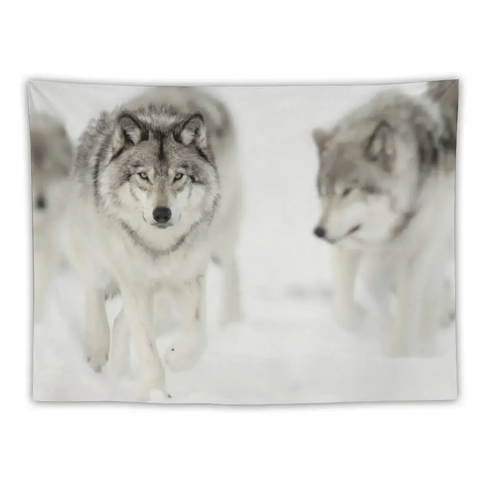 

Timber Wolf Pack Tapestry Home Decoration Room Decorations Aesthetic Tapestry