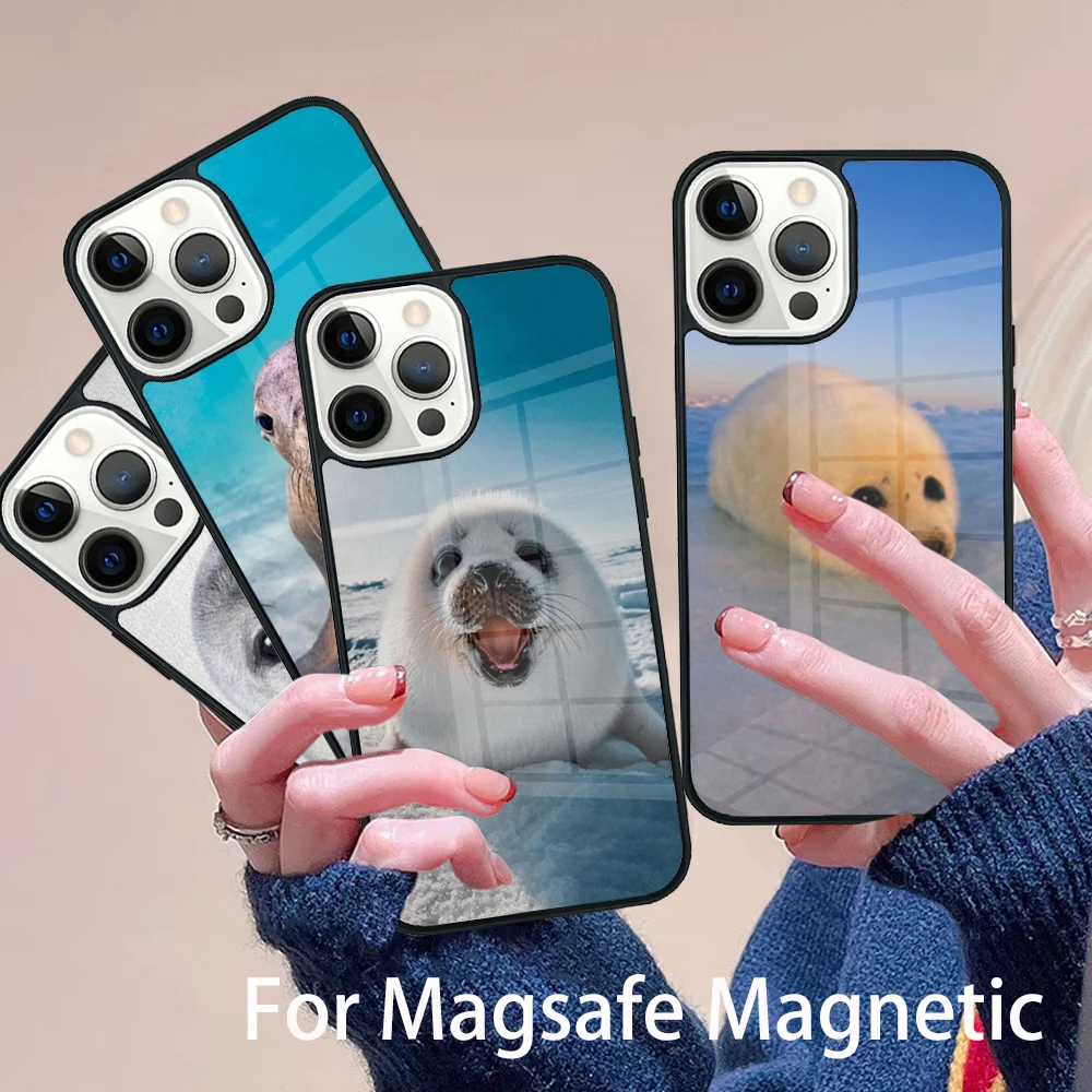 

Baby Harp Seal Sea Lion Phone Case Magesafe Magnetic Wireless Charge Cover For IPhone 16 11 12 13 14 15 Pro Max Plus Mini