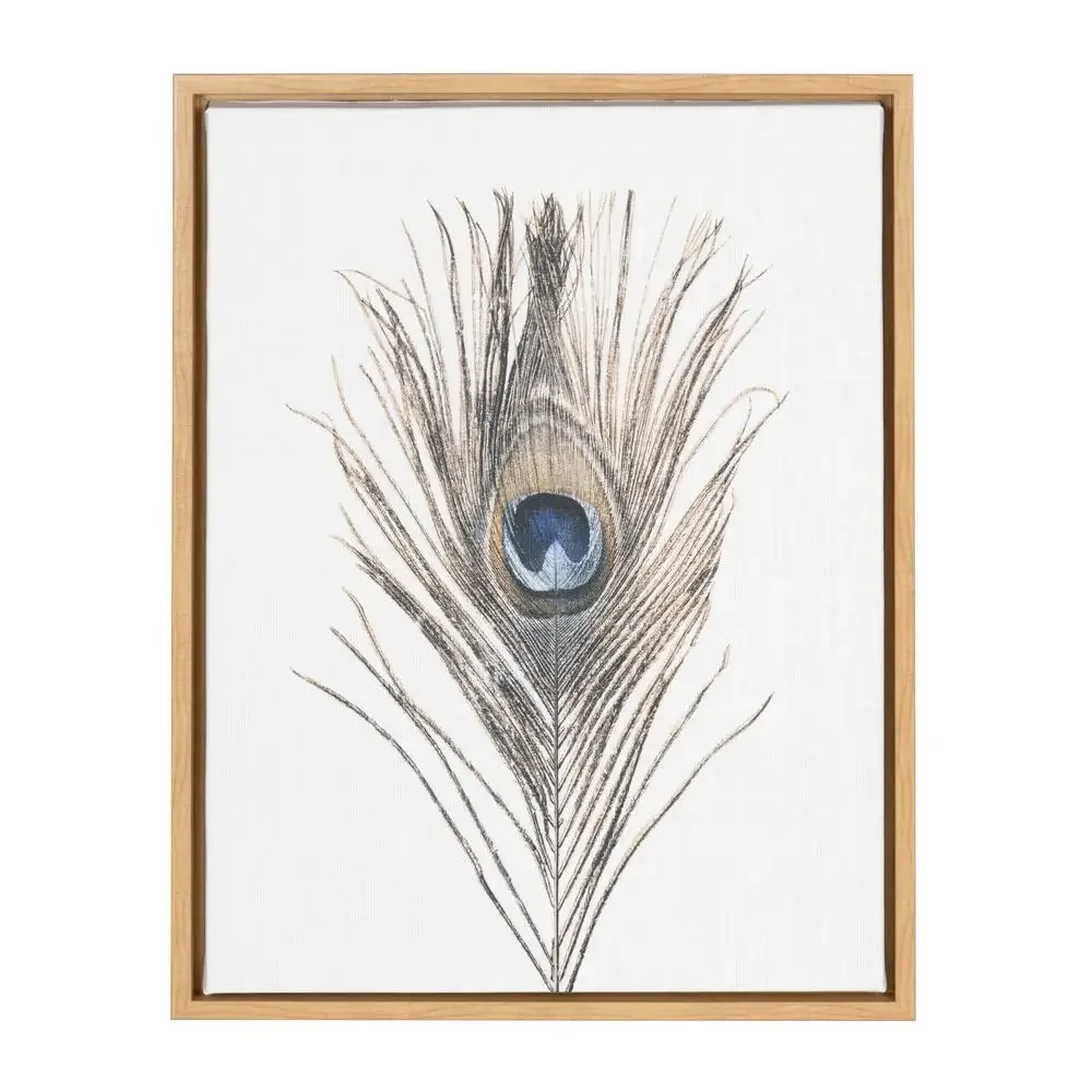 Peacock Feather Natural Framed Canvas Wall Art 18x24 by Simon Te Tai Wildlife Home Decor Gallery Wrapped USA Artist Simple