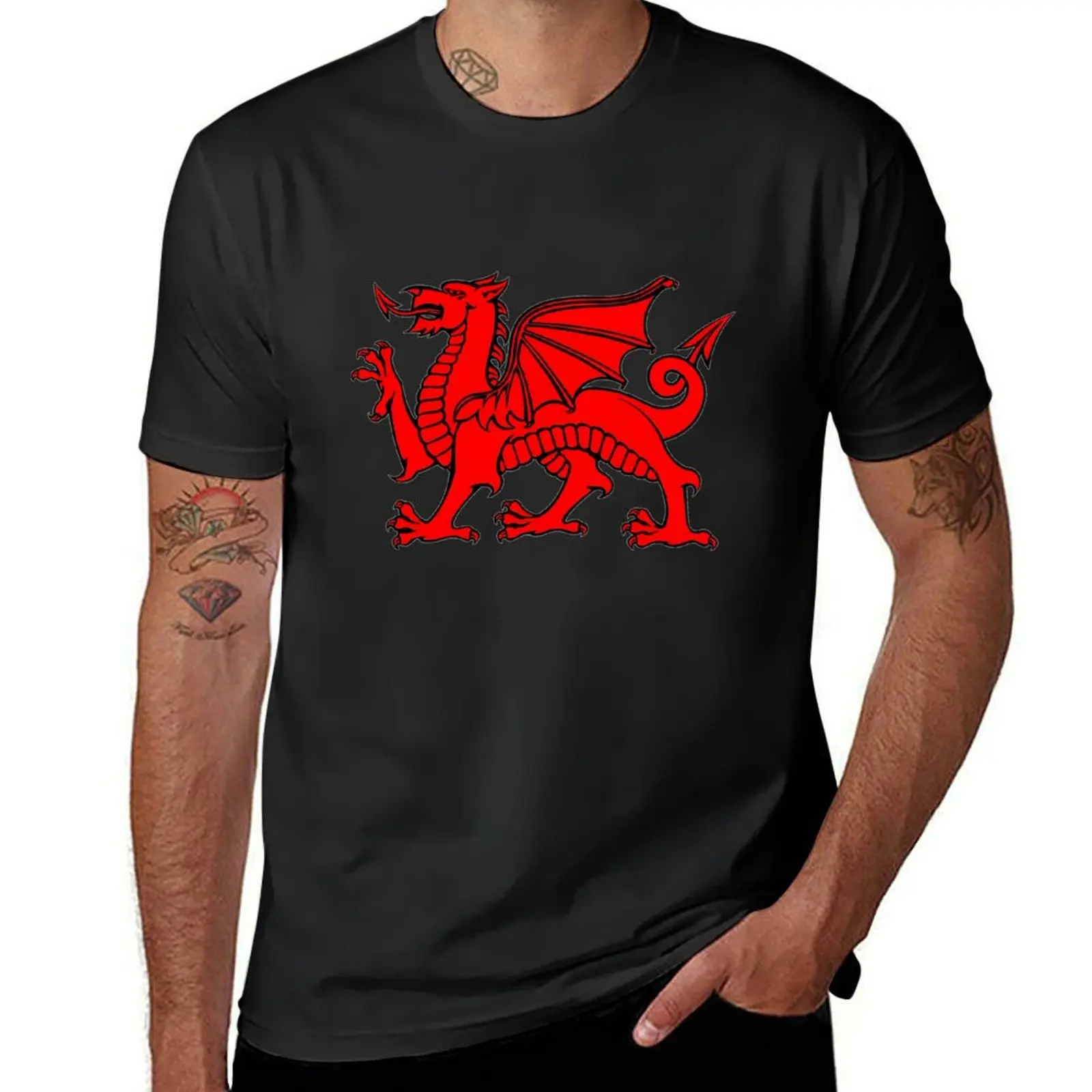 Red Dragon, Wales, Welsh Flag, Draig gogh, Cymru T-Shirt Aesthetic clothing plain customs mens graphic t-shirts big and tall